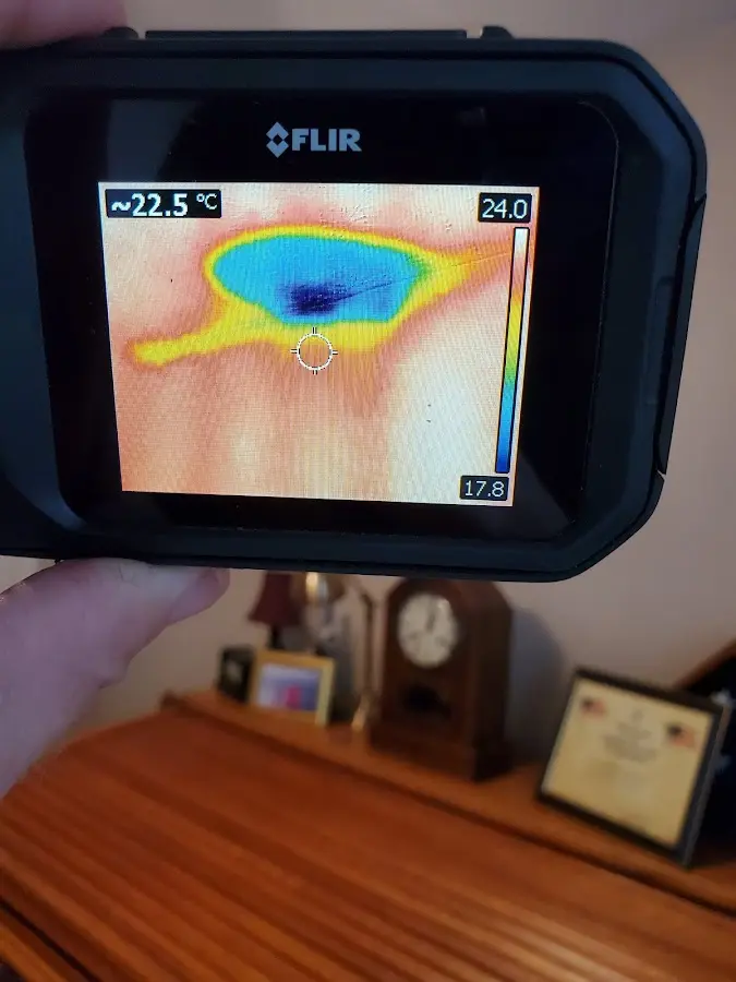 Thermal imaging inspection for water damage in Notre Dame