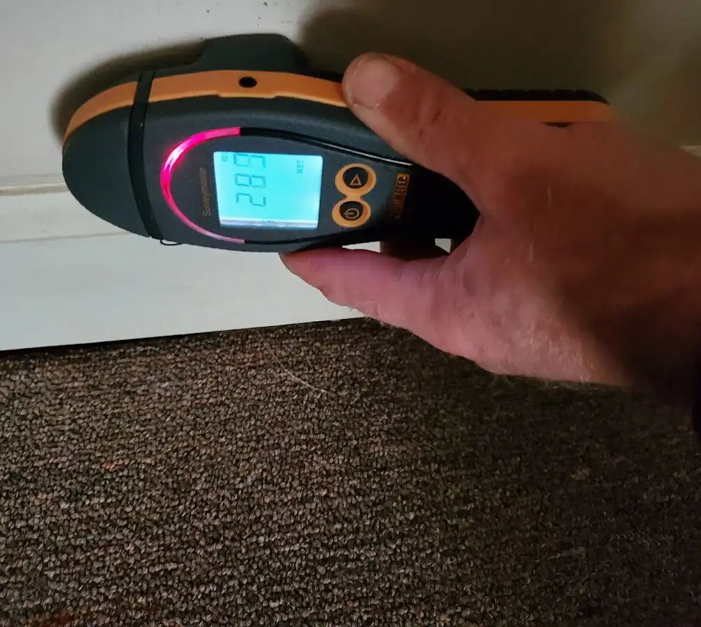 Moisture detection at baseboard during Sewage Cleanup & Sanitation in Notre Dame